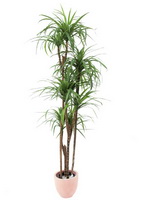 UMĚLÉ PALMY