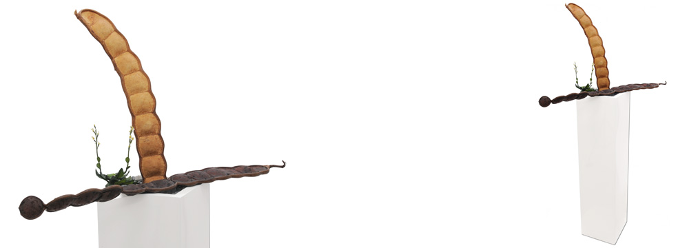 přírodní dekorace přírodní dekorace