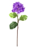 Hortenzie levandulová, 76cm