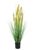 Polní tráva s klasy, 120cm