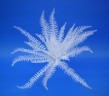 Dekorační kapradí bílé, 36 listů 60cm
