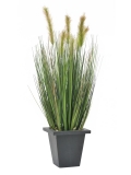 Vodní tráva v květináči, 60 cm