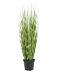 Zebrovaná tráva, 90cm