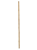 Tyč bambusová, průměr 3cm, délka 200cm