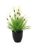 Jarní salát s květináčem, 40cm Jarní salát s květináčem, 40cm