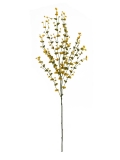 Eukalypt větvička, žluto-zelený, 110cm