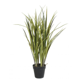 Tráva v květináči PVC, 75cm