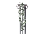 Girlanda - břečťan panašovaný, přírodní zelená, 180cm