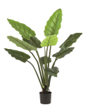 Palma Philodendron, 120cm
