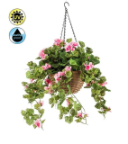 Geránium růžová v závěsném květináči venkovní, 45cm
