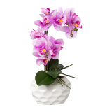 Orchidej růžová v květináči, 33cm