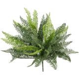 FIRESILX kapradina trs, 38 cm