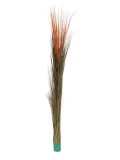 Zblochan vodní, světle hnědý, 127 cm