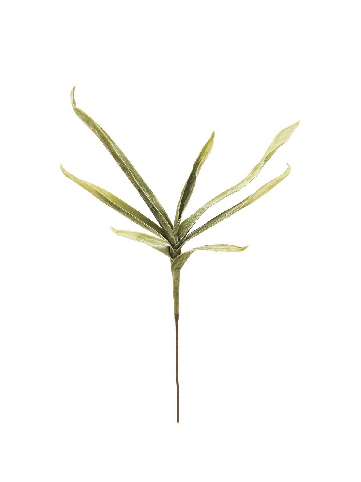 Yucca větev, 100cm