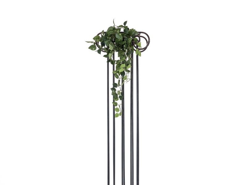 Pothos zelený, 60cm