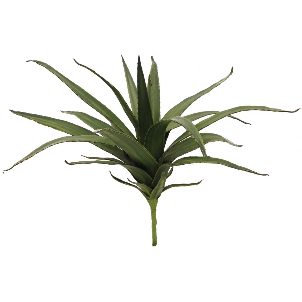 Aloe kaktus zelený, 50cm