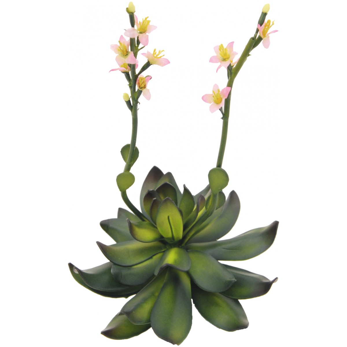 Skalní růže, růžová 32cm