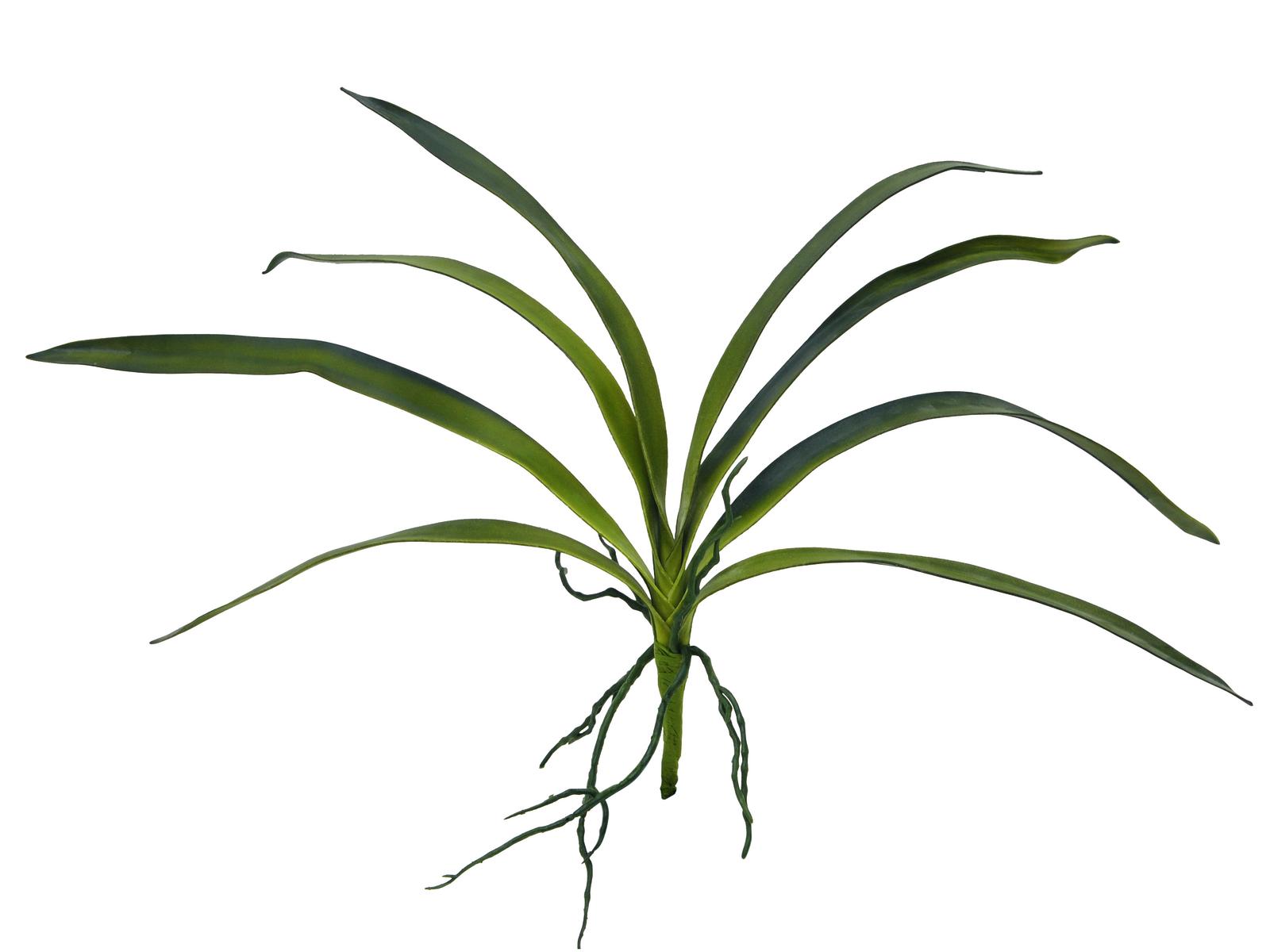 Orchidej listy, 45cm