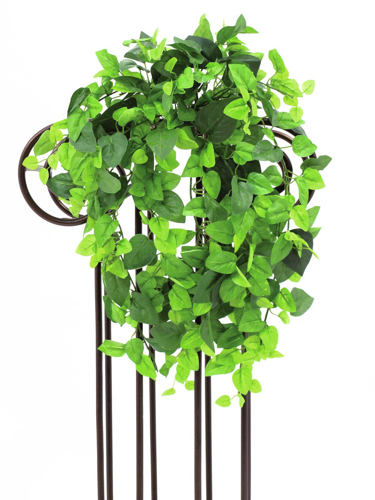Šlahoun Philo Classic zelená 477 listů, 50cm