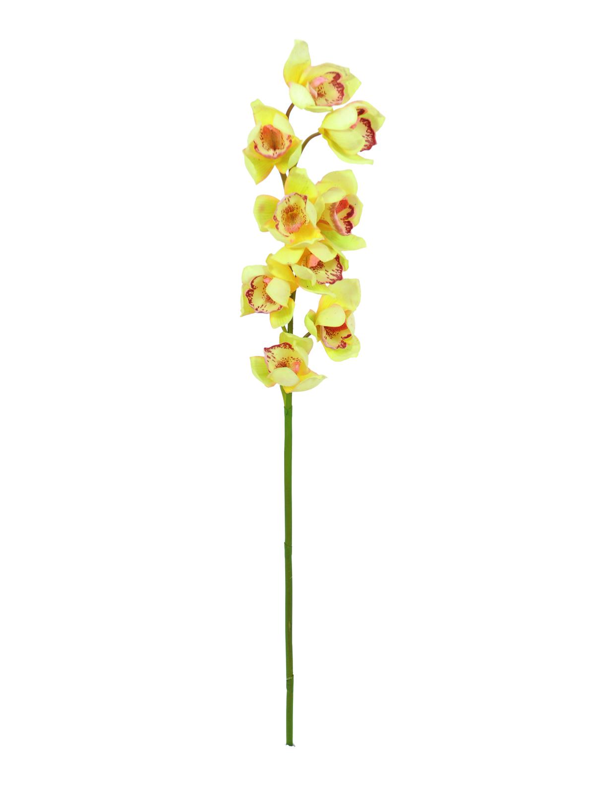 Cymbidium větvička, žlutá 90cm