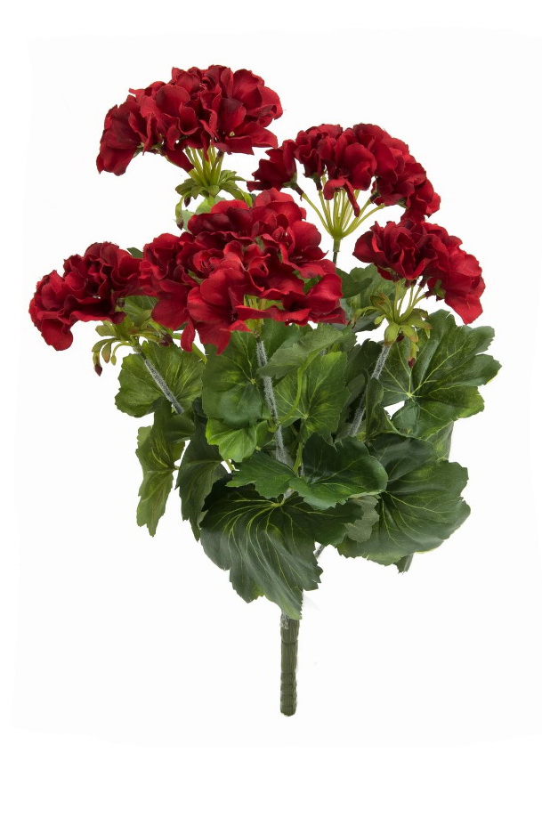 Červená pelargonie, 42cm