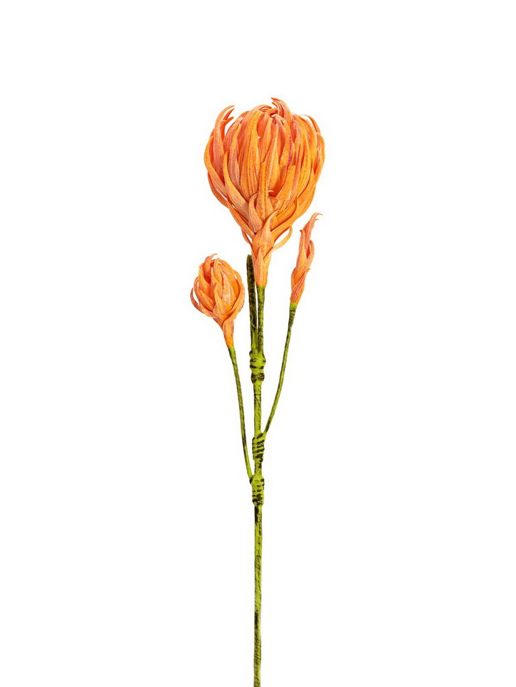 Jiřina se třemi květy oranžová, 100 cm