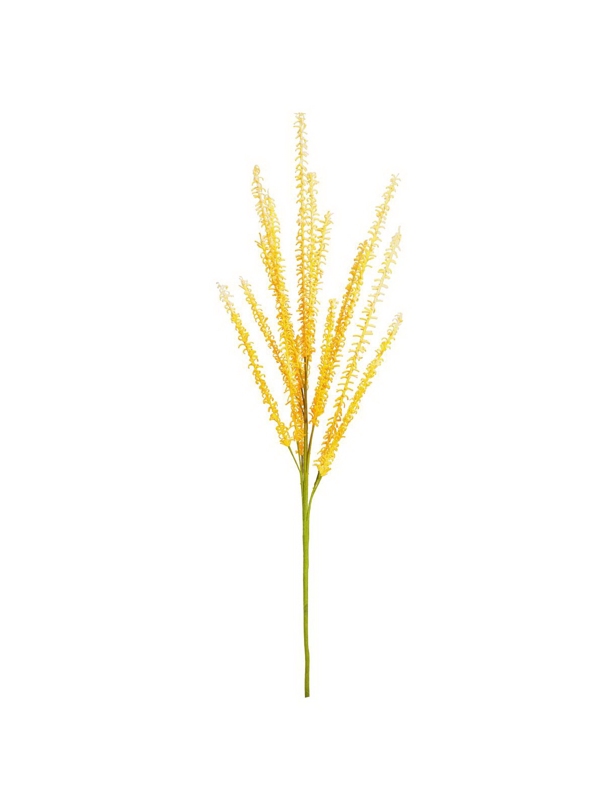 Meliot větvička, 120cm