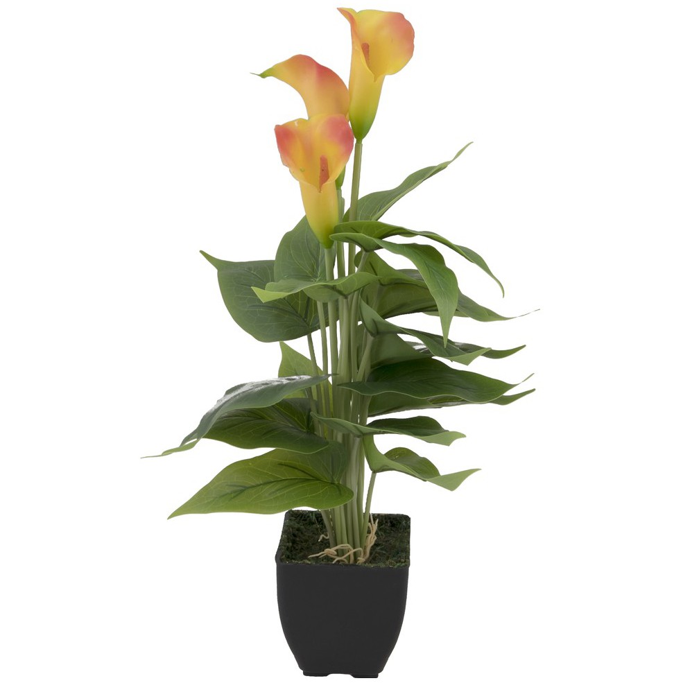 Kala žluto oranžová v květináči, 43cm