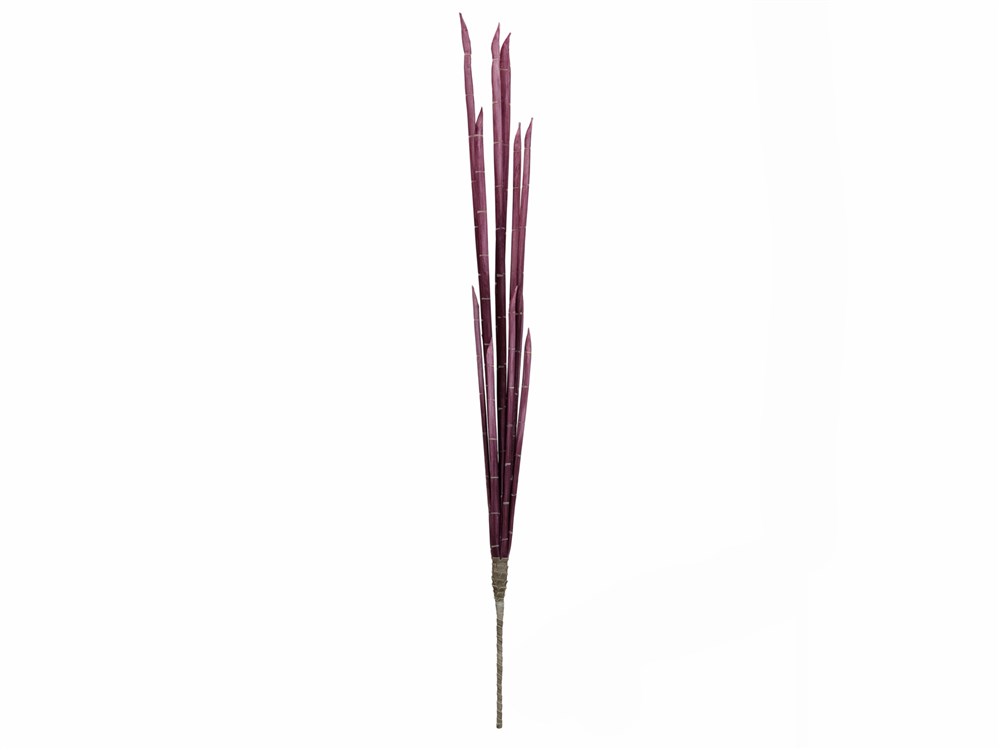 Stonky cibule růžové, 134cm