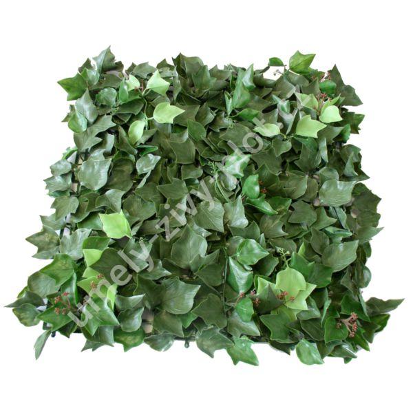 HEDERA BLOOM PREMIUM, 4ks dílce 50x50cm, plocha 1m2