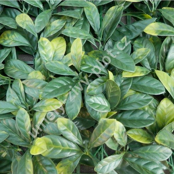 PRUNUS VG PREMIUM, 4ks dílce 50x50cm, plocha 1m2