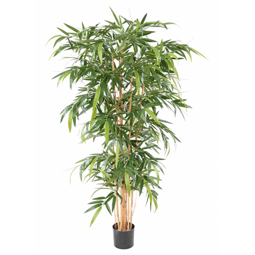 Bambus strom deluxe - přírodní kmeny, 180cm