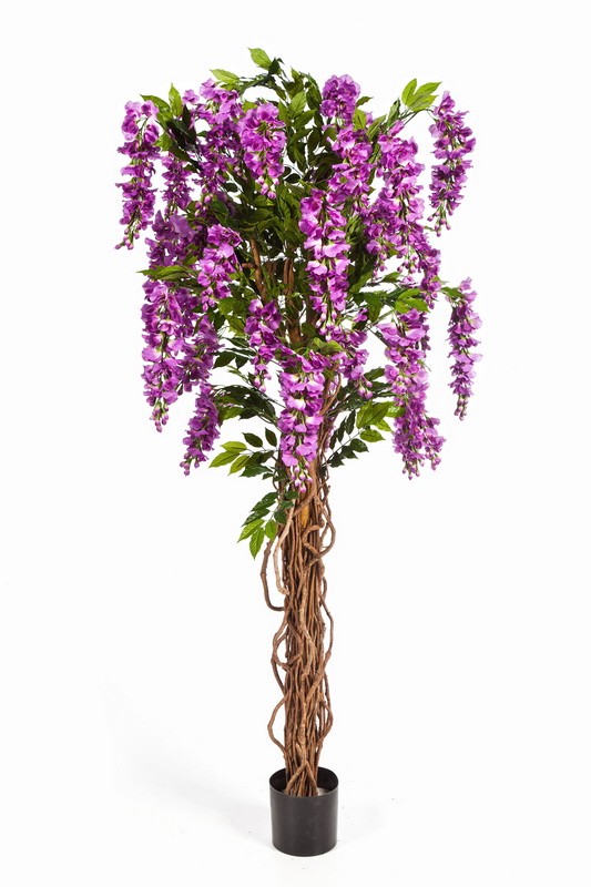 Vistárie přírodní kmeny DELUXE, fialová, 180 cm