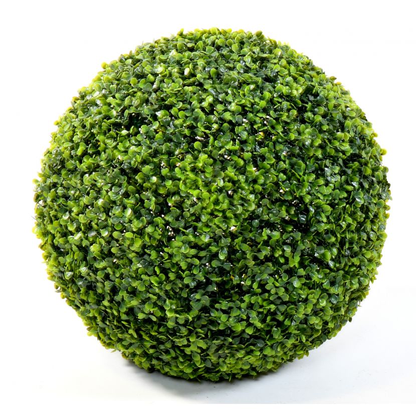Zimostráz - Buxus koule venkovní GR, 48 cm