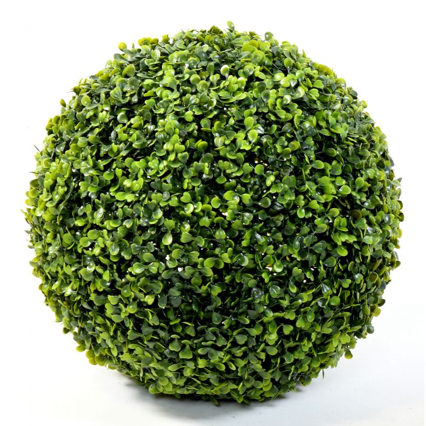 Zimostráz - Buxus koule venkovní GR, 35 cm