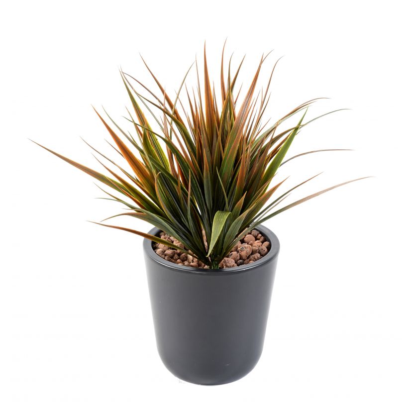 Tráva BROAD PE, 34cm