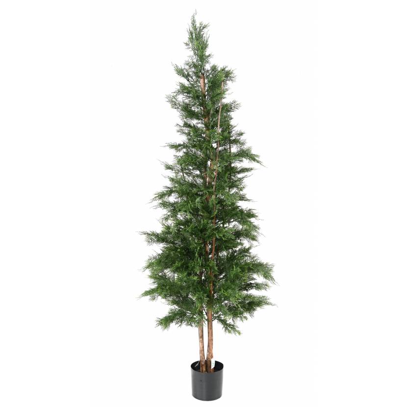 Cypřiš tmavý s dřevěnými kmeny, 210cm