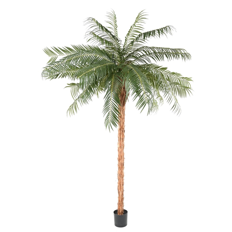Phoenix palma přírodní kmen deluxe, 260cm