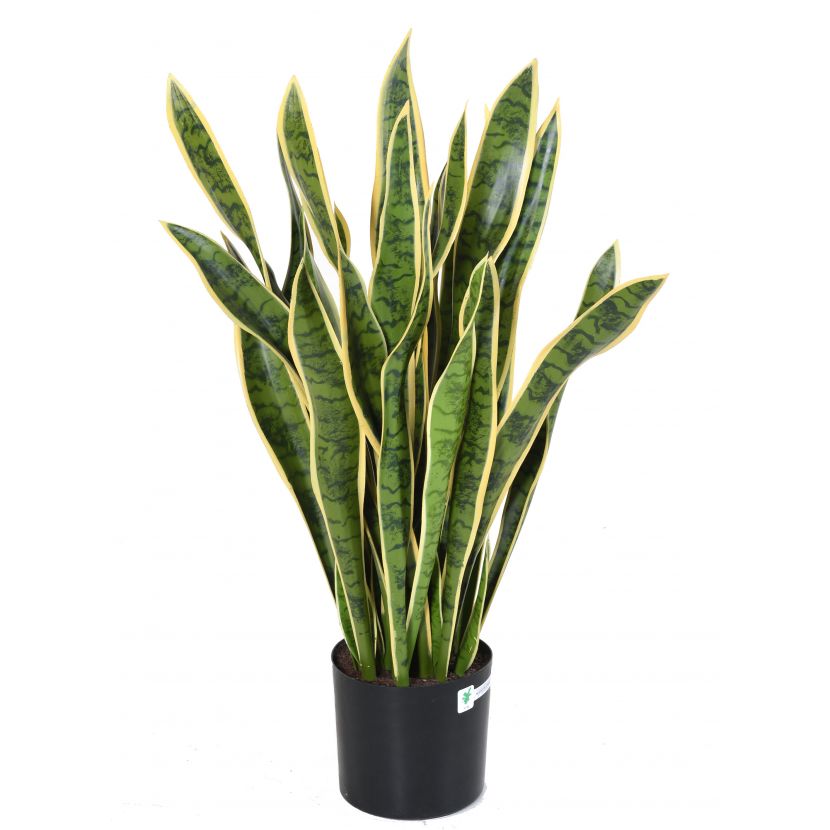 Sansevieria deluxe v květináči, zeleno-žlutá 93cm