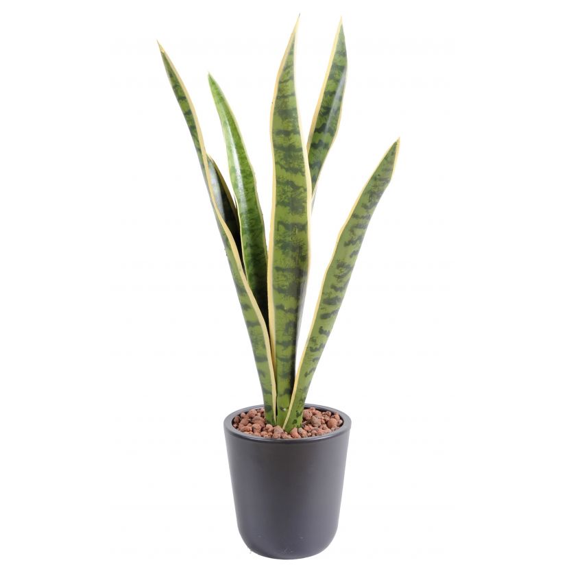 Sansevieria deluxe PE, zeleno žlutá 60cm