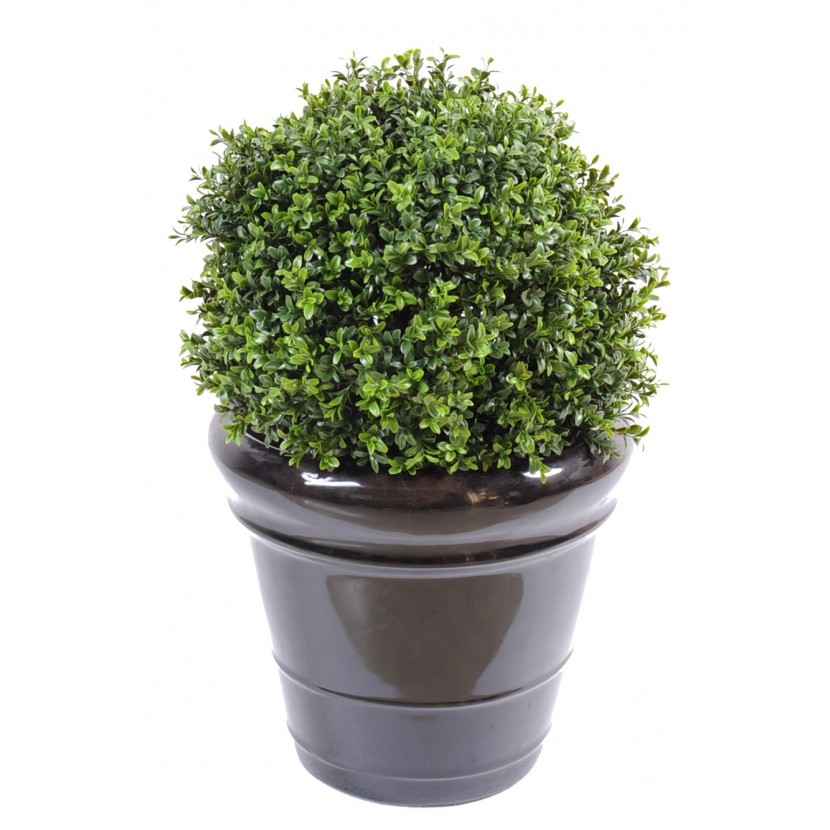 Zimostráz - Buxus koule New UV Resistant, 50cm