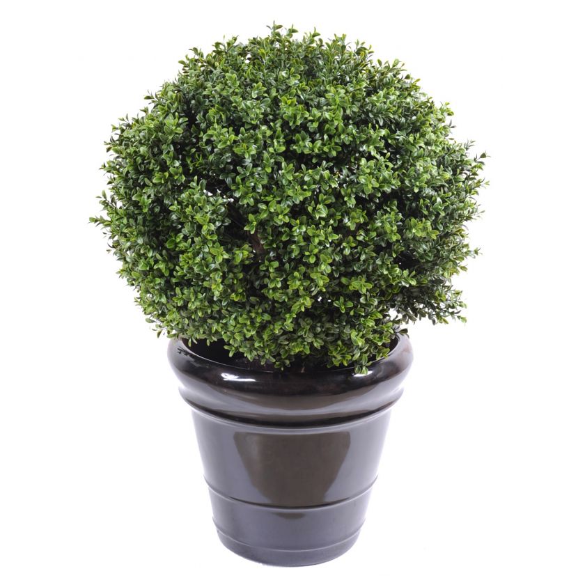Zimostráz - Buxus koule New UV Resistant, 72cm