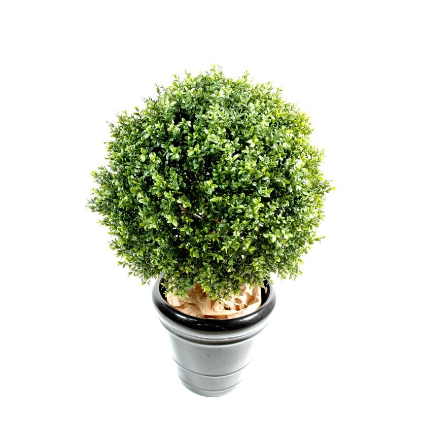 Zimostráz - Buxus koule New UV Resistant, 88cm