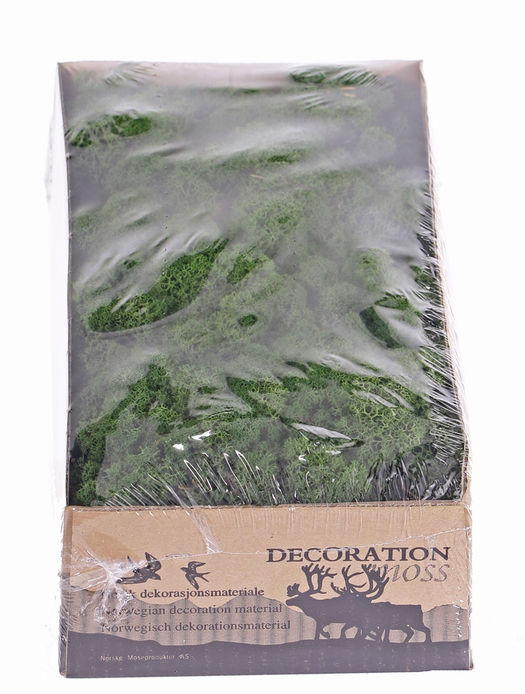 Stabilizovaný mech box 500g - tmavě zelená