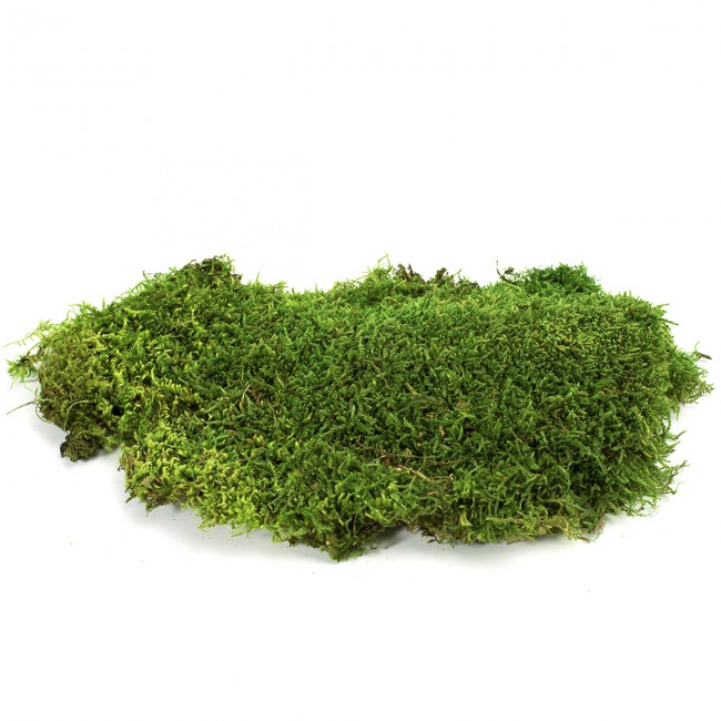 Stabilizovaný mech lesní plochý 2,5 kg - zelený