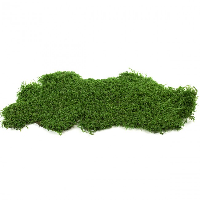 Stabilizovaný mech plochý lesní 2,5 kg - zelený