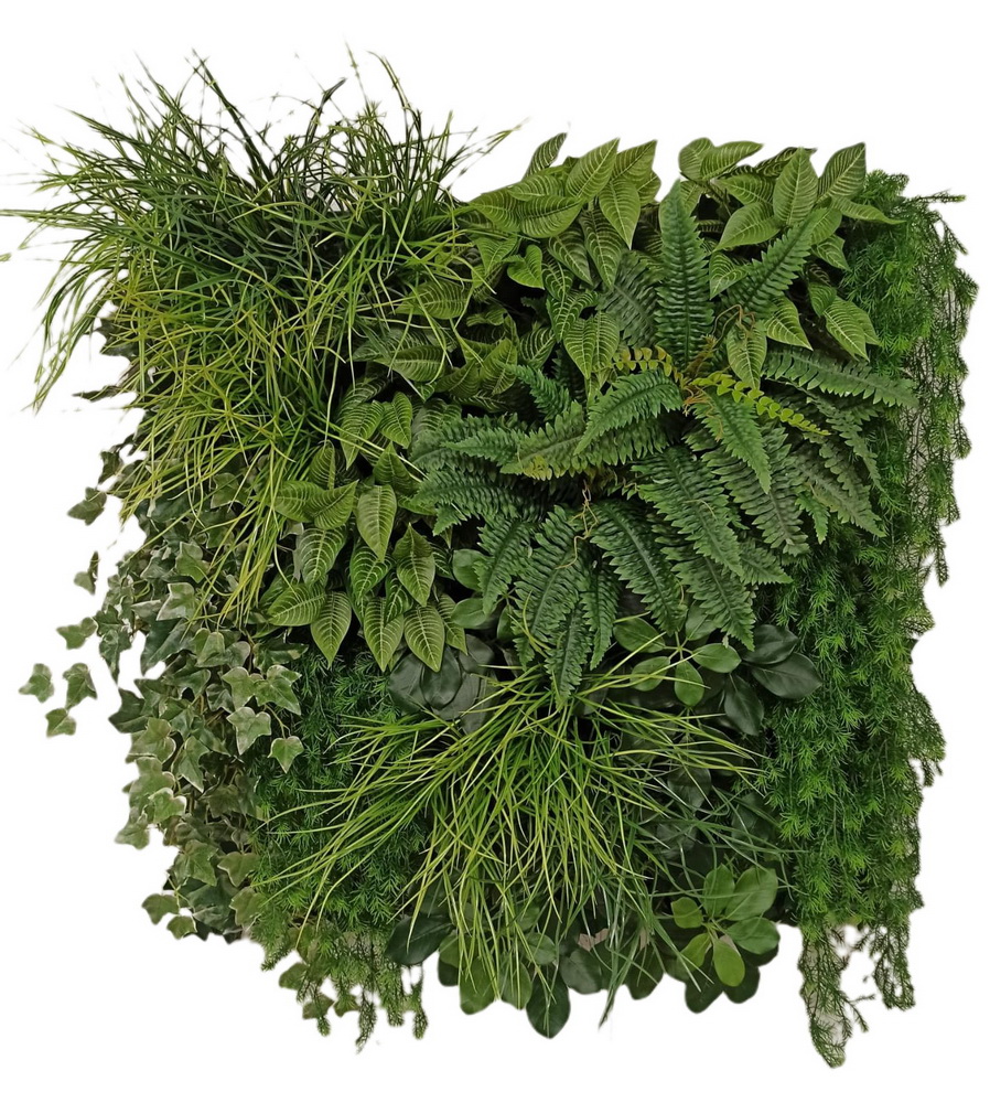 Umělá živá zelená stěna STUDIOGREEN na míru, 100x100cm