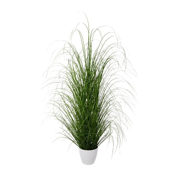 Tráva keř v bílém květináči, 130cm