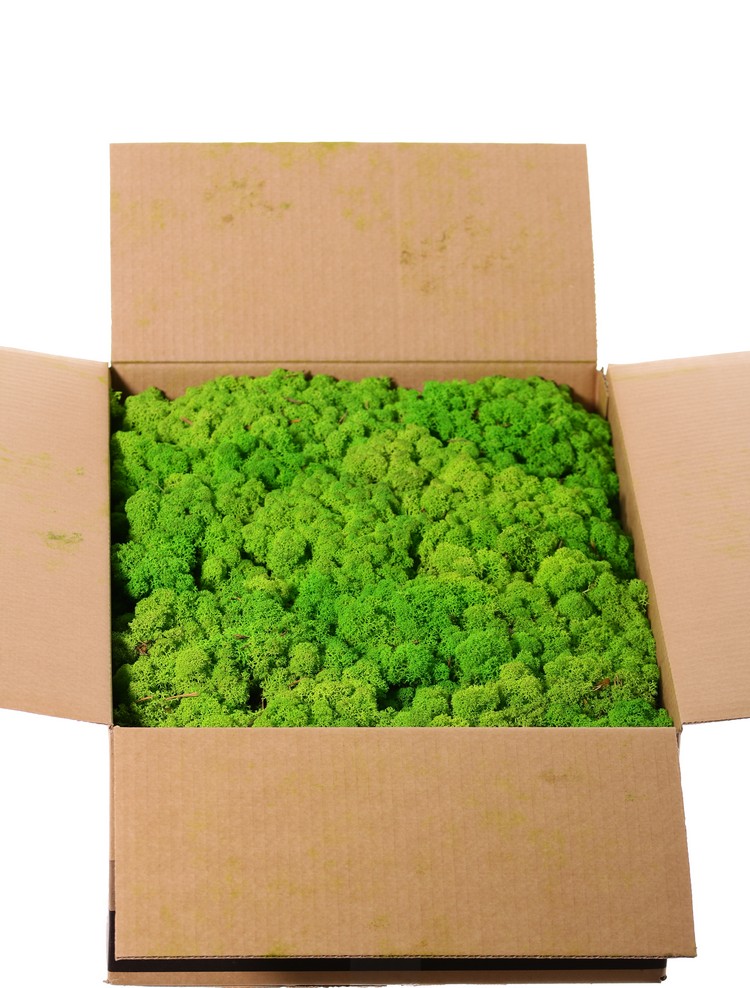 Stabilizovaný mech box 2,7kg - vícebarevný 