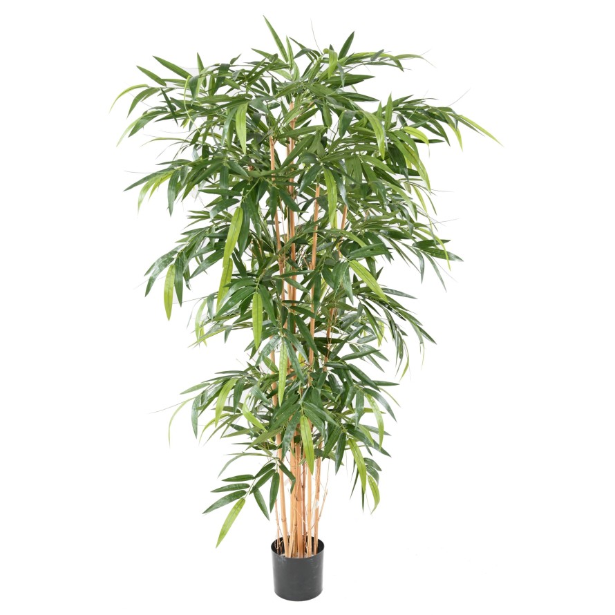 Bambus strom - přírodní kmeny UV ochrana, 210cm